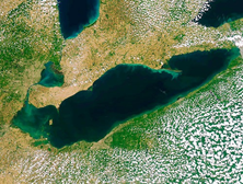 Satellite image of Lake Erie algae