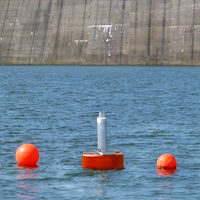 Temperature buoy