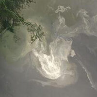 A satellite image of the Deepwater Horizon oil spill in the Gulf of Mexico (Credit: NASA)