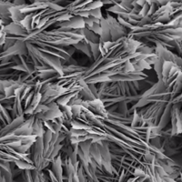 Water condensates more quickly on surfaces with this leaf-like nanoscale pattern developed at MIT condensation (Credit: MIT)