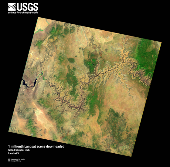An image of the Grand Canyon captured by the Landsat 5 satellite (Credit: USGS)