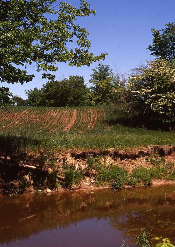 Bower Creek (Credit: Judy A. Horwatich/USGS)