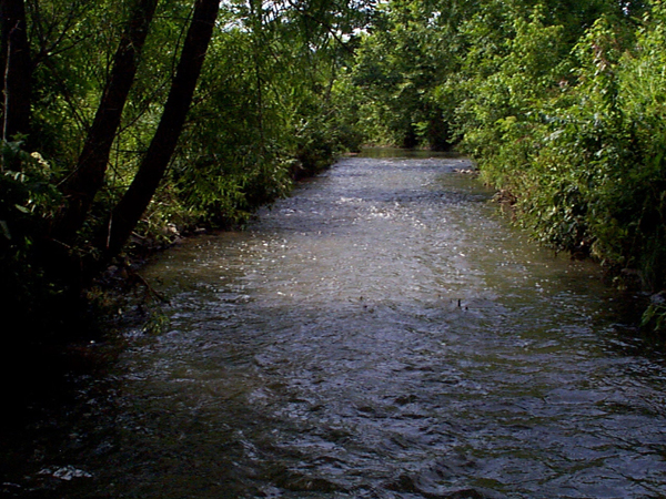 East Fork Poplar Creek (Credit: Oak Ridge National Laboratory)
