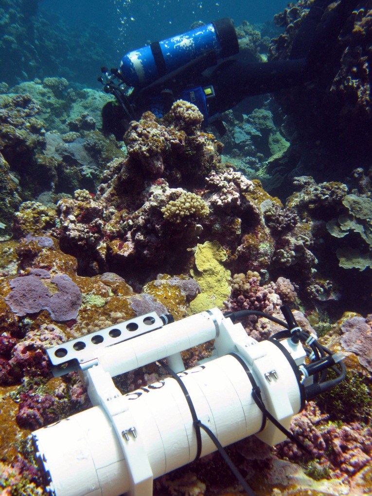 The SeapHOx sensor package on the ocean floor (Credit: Todd Martz)