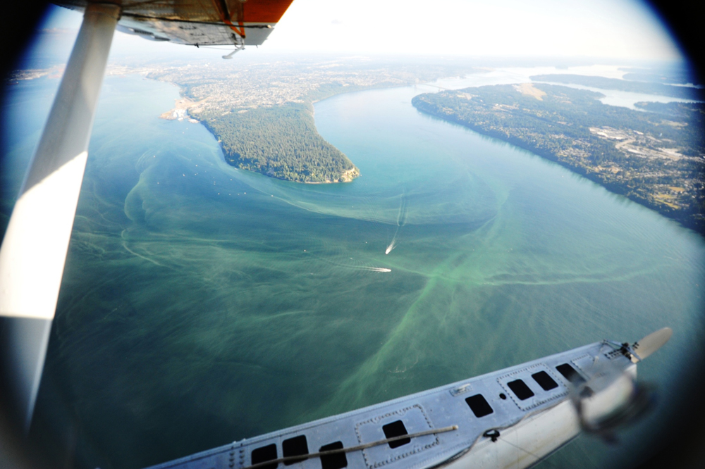 Krembs' aerial photos give the public a new perspective on Puget Sound (Credit: Washington Department of Ecology)