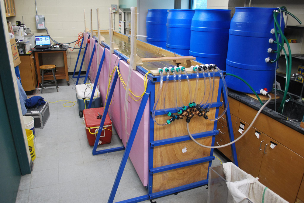 The model river, or flume, lets researchers control simulated groundwater discharge to flowing water (Credit: University at Buffalo)
