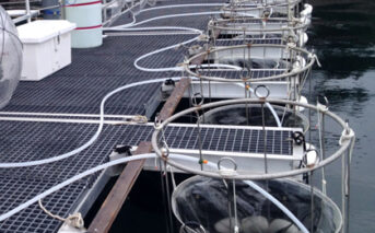 Ocean acidification: University of Washington's giant plastic bags help control research conditions