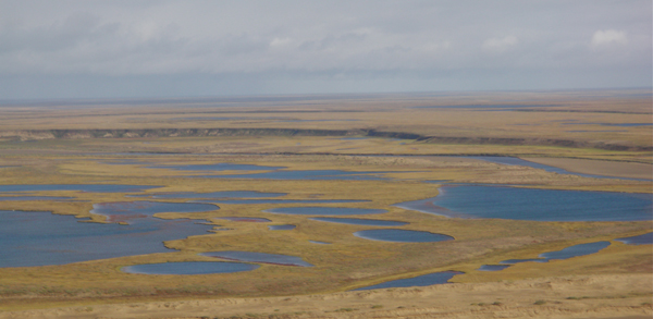 Thaw lakes dominate the Arctic Alaskan landscape (Credit: John Lenters)