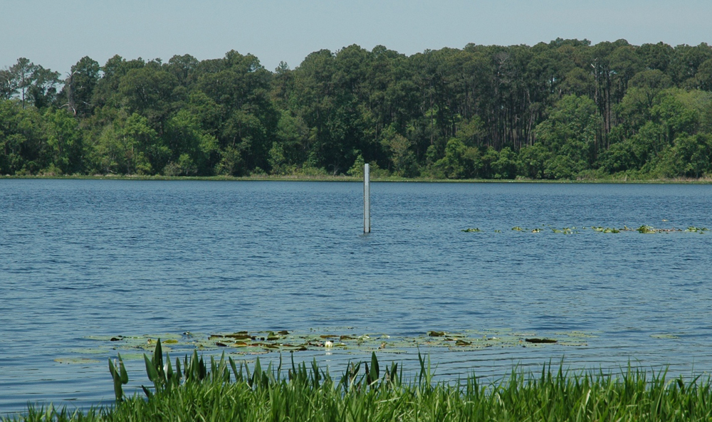 A staff gauge on Florida's Barco Lake, a future NEON aquatic site (Credit: Charlotte Roehm)