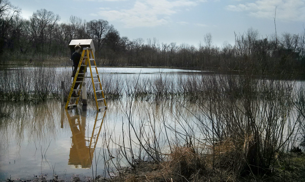 Mike Voellmecke services equipment at the Olentangy River Wetland Research Park (Credit: Austen Verrilli)