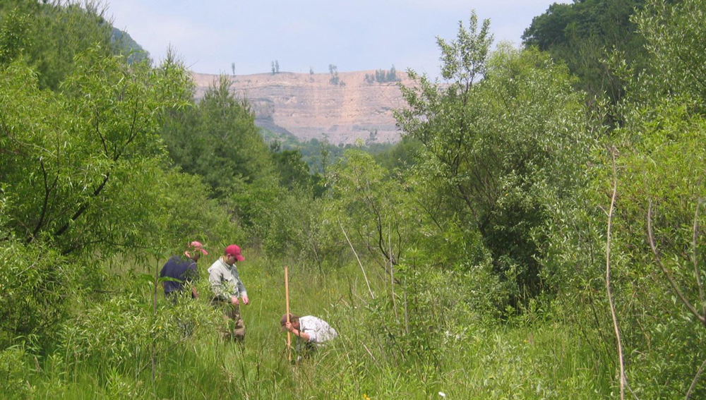 Researchers collect biological samples from a stream draining an active coal mine. Biological monitoring of streams allows scientists to understand ecosystem responses to mining influence. (Credit: Carl Zipper)