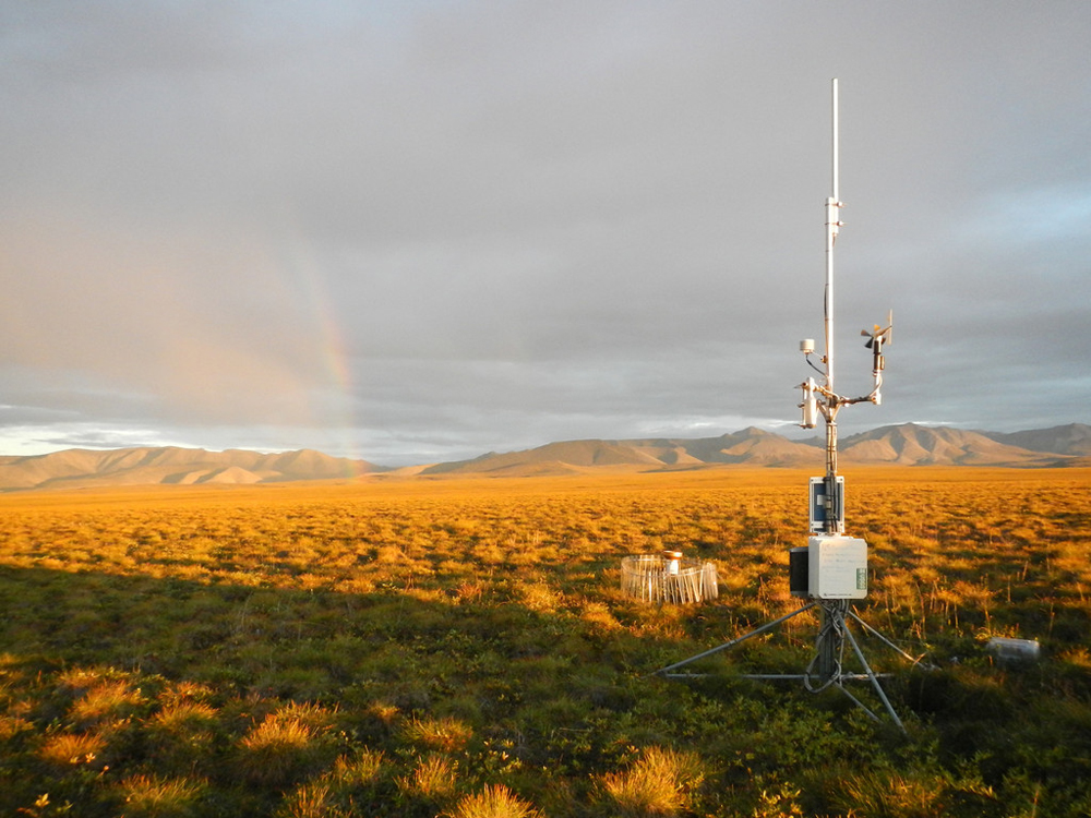 A typical weather station in the network features an RM Young wind speed and direction sensor (Credit: Frank Urban)
