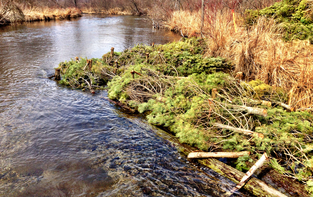 Wood structures help accelerate flows and clean out sediment (Credit:  Fawn River Restoration and Conservation Charitable Trust)