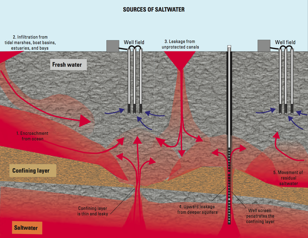 The routes of saltwater intrusion. Click for large version. (Credit: USGS)