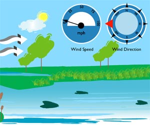 Wind Speed and Direction