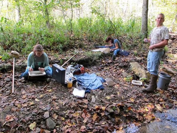 This students also have stream monitoring data at their disposal (Credit: Jamie March)