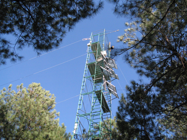 A flux tower measures CO2 exchange in a North Carolina forest (Credit: Michael Gavazzi/USDA Forest Service)