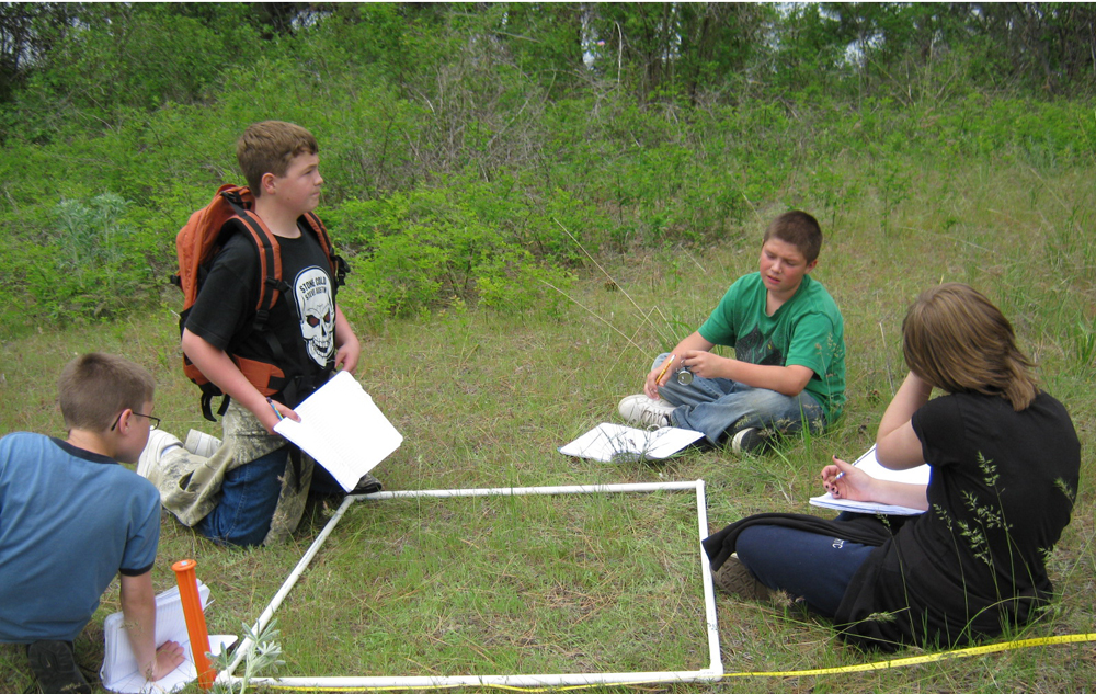 "Students wanted to see how many caterpillars were at their site. So they set up some random transects and used the quadrat to sample along the transects," Elvidge said. "They didn't find any caterpillars." (Credit: National Park Service)