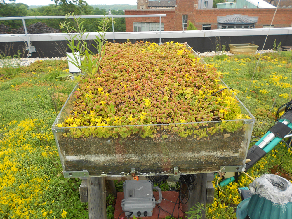 A weighing lysimeter tracks the reduction in mass before and after rainy or dry periods, giving a precise measure of evapotranspiration. (Credit: Franco Mantalto)