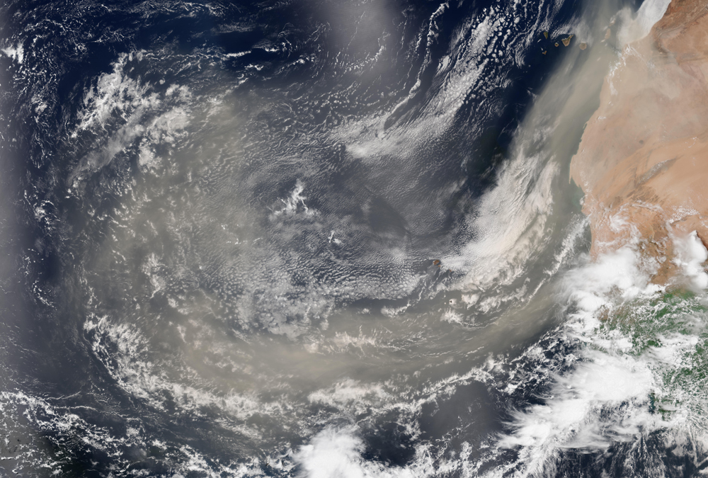 A plume of Saharan dust blows over the Atlantic Ocean from North Africa (Credit: NASA)