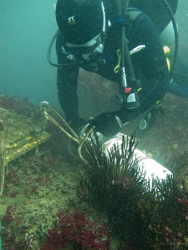 A diver works with monitoring equipment used with the Smith Lab's ocean acidification (Credit: Scripps Institution of Oceanography)
