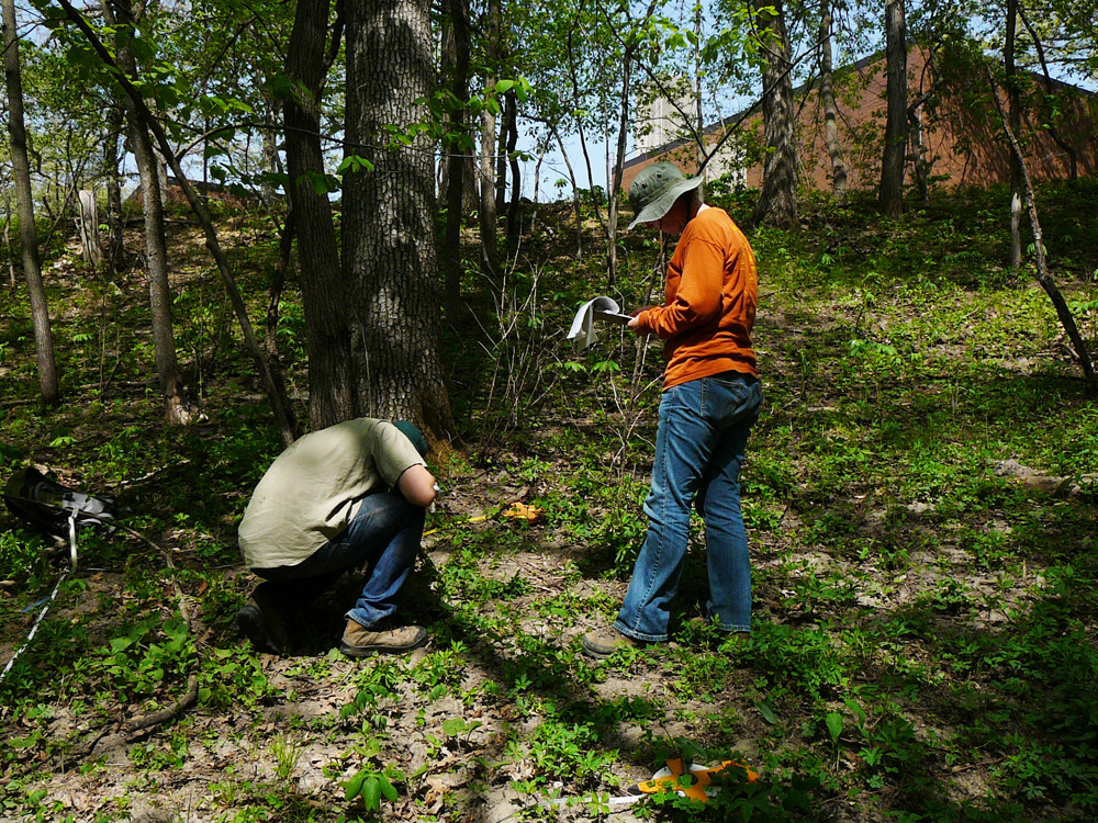 Gerken Golay and field assistant (Rob Manatt) survey herbaceous vegetation in an urban forest (Credit: Zak Keninger)