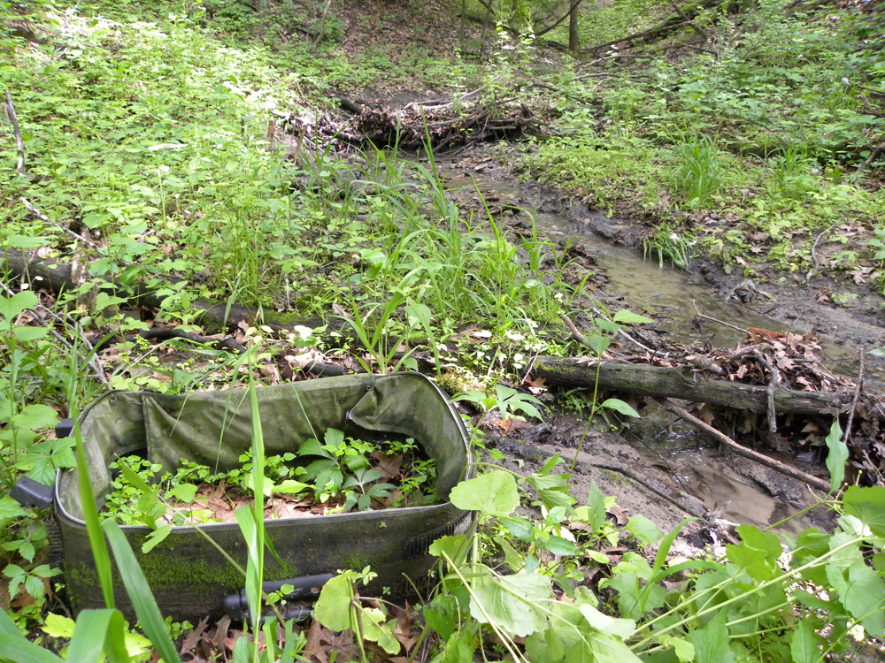 Debris and invasive plants near an urban forested stream (Credit: Zak Keninger)