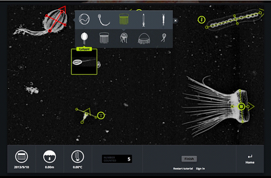 A screenshot of the Plankton Portal interface