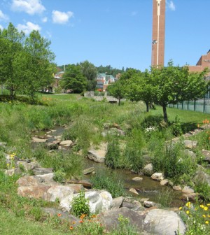 A restoration on Boone Creek at Durham Park maintains manicured vegetation that provides no shade to the over-warm stream (Photo courtesy of Kristan Cockerill)