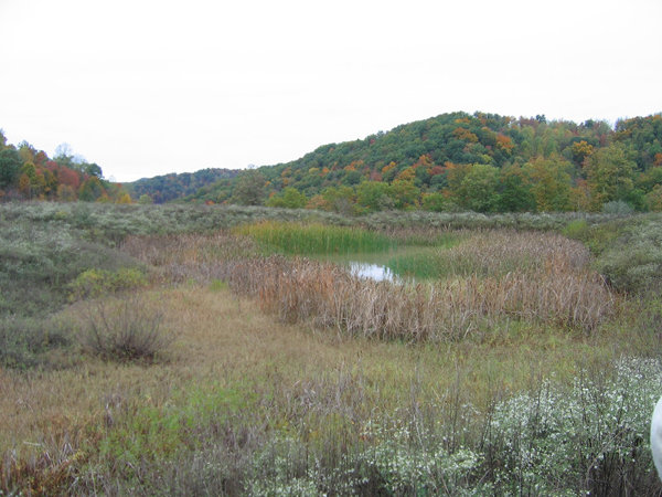 Constructed channels on reclaimed mines tend to work more like wetlands than streams (Credit: Gretchen Gingerich)