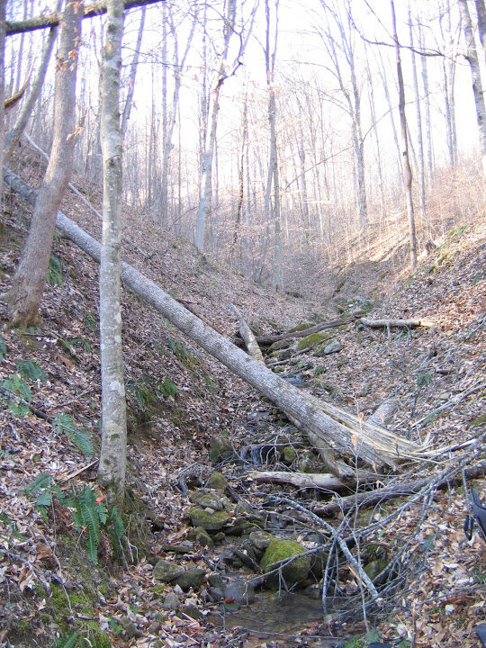 A natural Appalachian headwater stream (Credit: Gretchen Gingerich)
