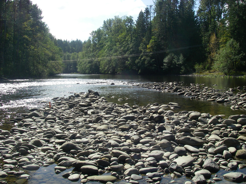 A view of the Elwha River downstream of the Elwha Dam in 2007 before removal (Credit: Amy Draut)