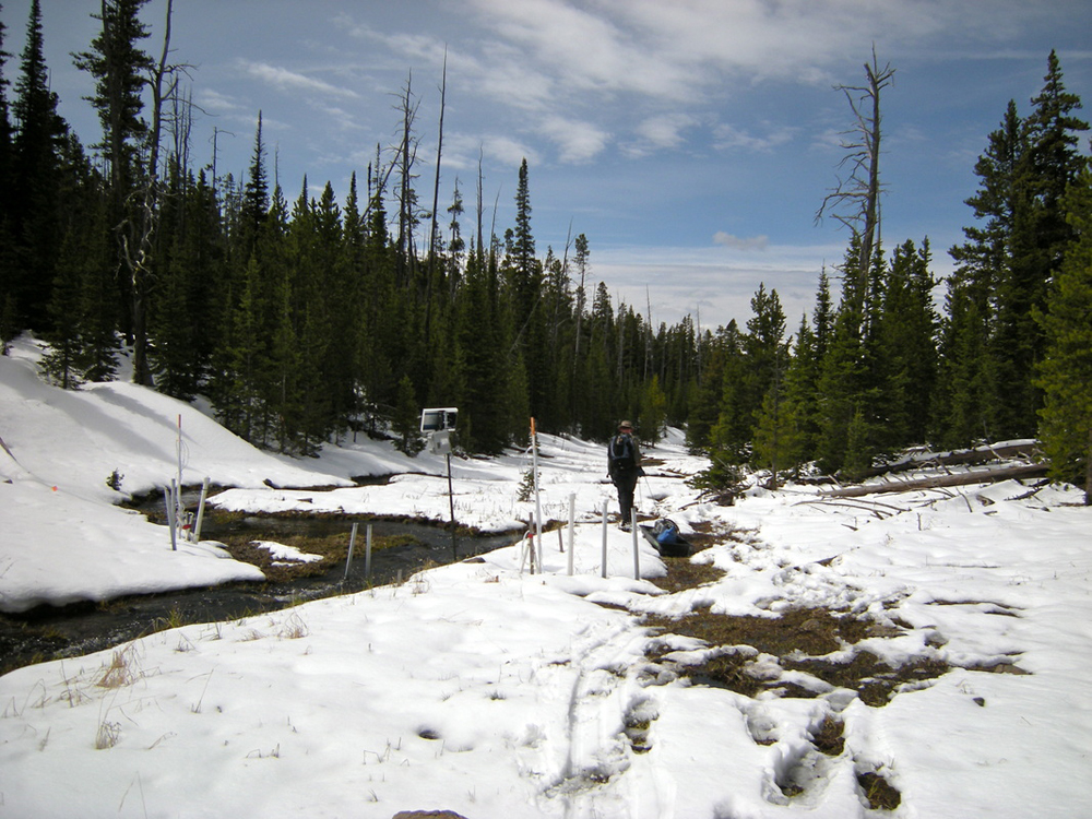 Hauling equipment during snowmelt in the Tenderfoot Creek Experimental Forest (Credit: Erin Seybold)