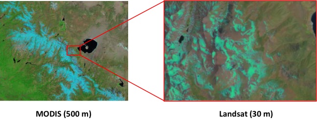 This illustration shows the finer scale achievable with the Landsat sensor over the MODIS sensor (Credit: USGS)
