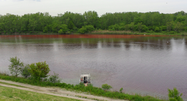A dye plume visible in the Little Calumet River, the site of a second Rotenone application in 2010 (Credit: Ryan Jackson)