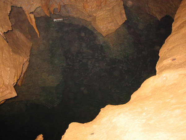 The exposed water table in a cave called Power Plant Pit (Credit: Virginia Department of Conservation and Recreation’s Natural Heritage Program)
