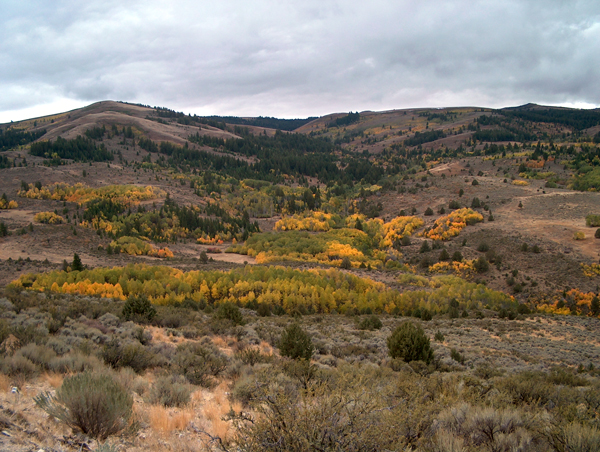 An example of the Reynolds Creek landscape (Credit:  U.S. Department of Agriculture)