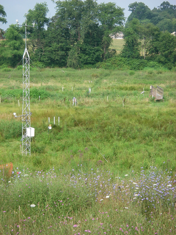 The StREAM Lab's weather station and transect of piezometers for groundwater sampling (Credit: W. Cully Hession)
