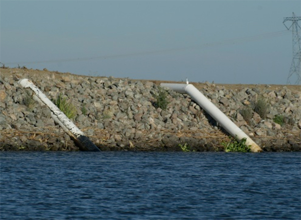 Water intake pipes along the Sacramento River (Credit: Fangue Lab at UC Davis)