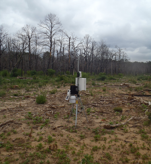 Portable weather station in a clearcut area of a burned region (Credit: Donald Brown)