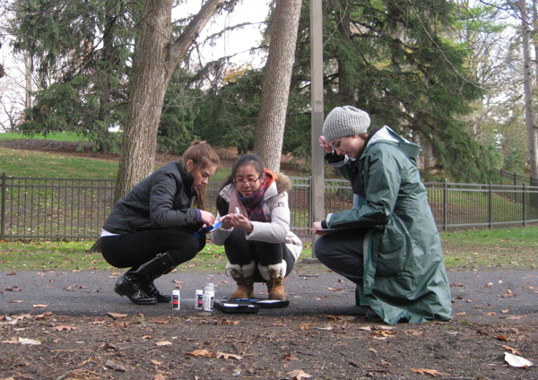 Students put a water quality testing kit to work (Credit: Hannah Julich)