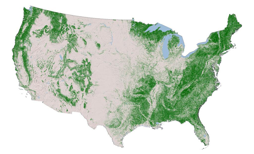 U.S. canopy cover as depicted by the 2011 National Land Cover Database (Credit: USGS)