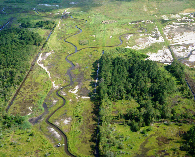 An aerial view of the marsh restoration area (Credit: NC State University Department of Biological and Agricultural Engineering)