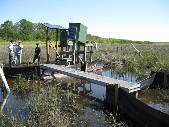 Monitoring station and flume upstream of the North River Farms marsh restoration (Credit: NC State University Department of Biological and Agricultural Engineering)