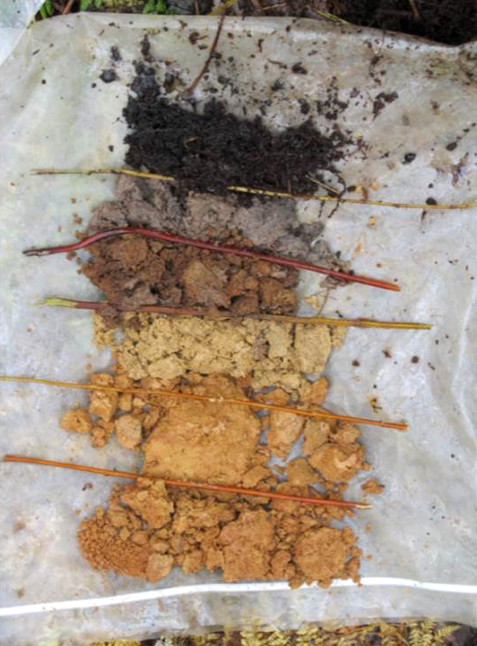 A soil profile from Young Woman's Creek in Pennsylvania (Credit: Mike McHale)