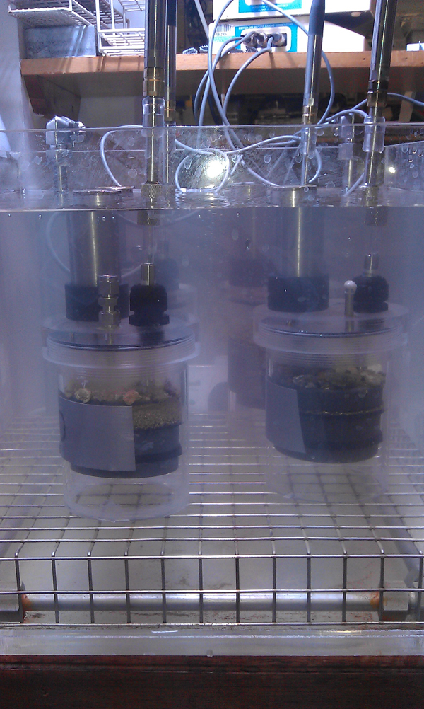 Potential photosynthesis incubations: Four gas tight chambers in a chilled water bath with electrodes and underwater meter logging the changing oxygen concentrations. (Credit: Felicity Shelley)