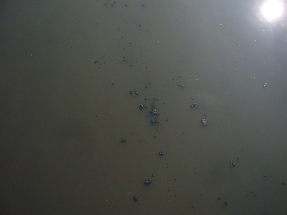 A river in southern China, seriously polluted. (Credit: Mengzhen Xu)