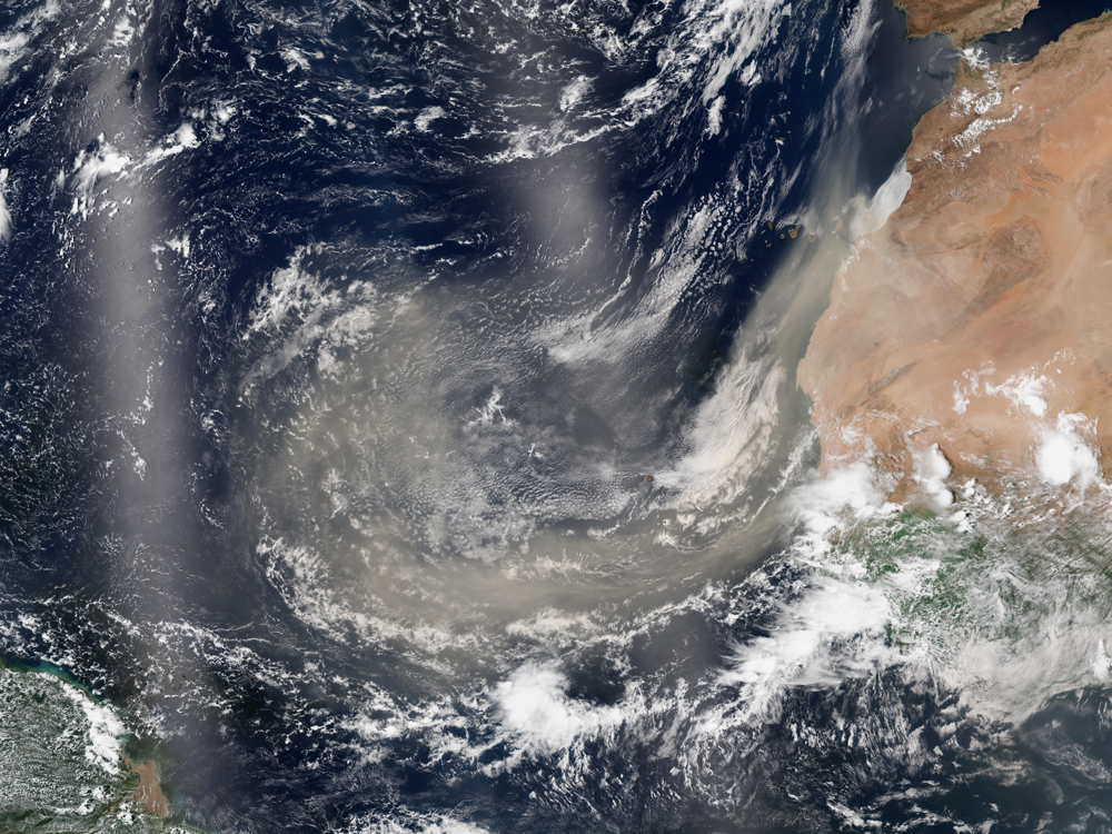 This year's HS3 program will study the effects of Saharan dust on hurricane formation. This plume blew out over the ocean in August, 2013 (Credit: NASA)