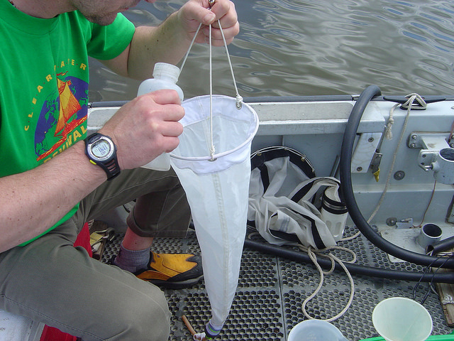 Cary Institute plankton survey (Credit: Cary Institute of Ecosystem Studies)