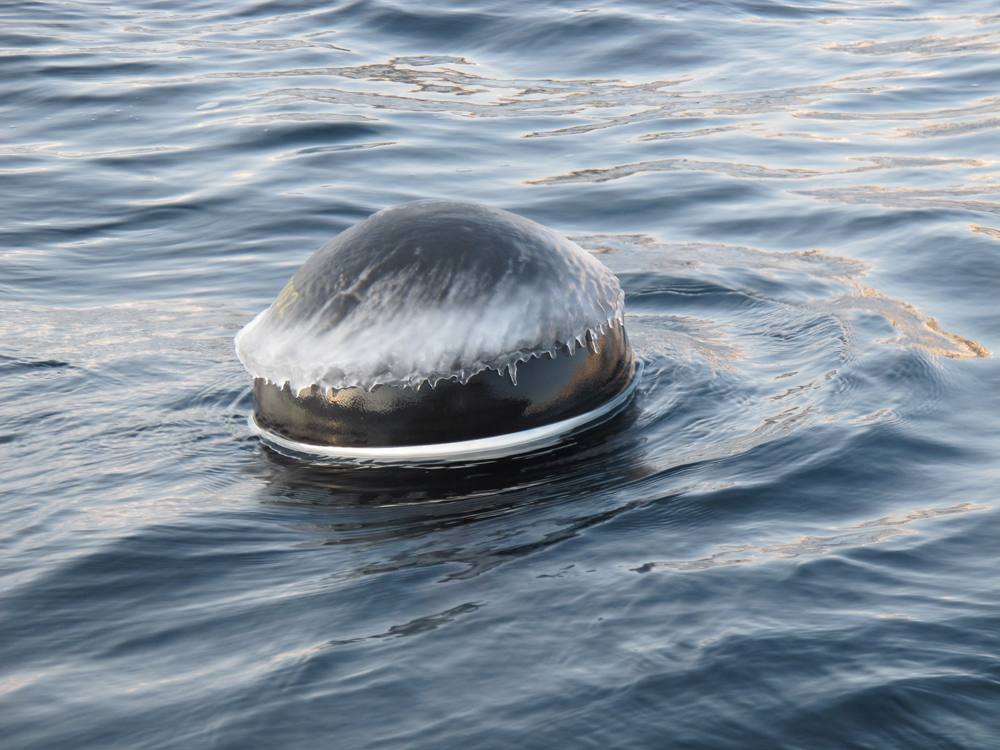 Satellite-tracked drifters floated through fjords while monitoring water conditions and withstanding a hefty serving of blunt trauma. (Credit: Kunuk Lennert, Greenland Climate Research Center)